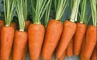 Шантенэ-Комет