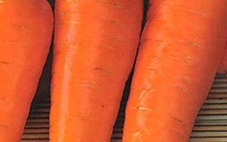 Три моркви Шарлотта на дерев'яній поверхні