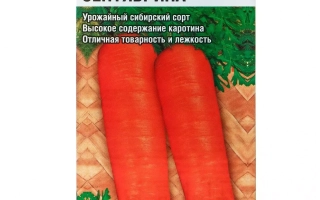 Сентябрина