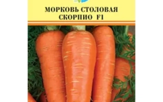 Пакет семян моркови столовой СКОРПИО