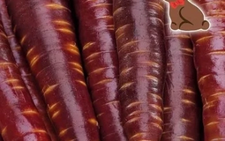 Шоколадный Заяц