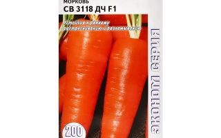 Пакет насіння моркви СВ 3118 ДЧ F1