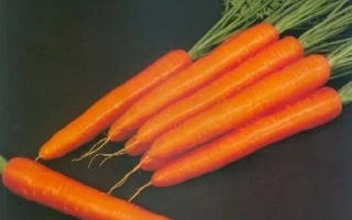 Свит Кэндел F1