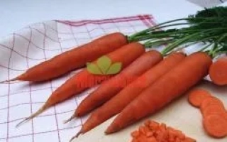 Свежая морковь с зеленью на разделочной доске - Тинга