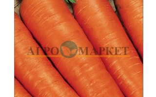 Насіння моркви F1 Топаз на упаковці з зображенням свіжих помаранчевих коренеплодів.