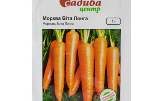 Пакет семян моркови Вита Лонга с изображением оранжевых корнеплодов