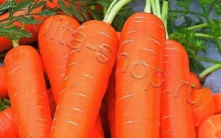 Пакет семян моркови Вкус детства