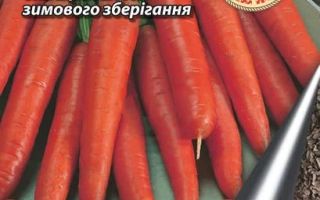 Пакет семян моркови Вкусняшка с изображением свежих морковок.