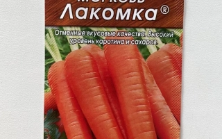 Воронежская Лакомка