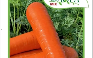 Пакет семян моркови Олімпо F1 - Волин