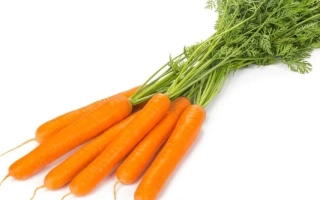 Свежие морковь на белом фоне - Имер