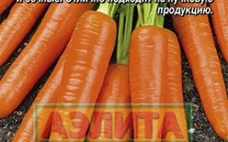 Пакет насіння моркви Зарядка з зображенням свіжих морквин та логотипом Аеліта