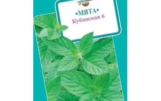 КУБАНСКАЯ 6