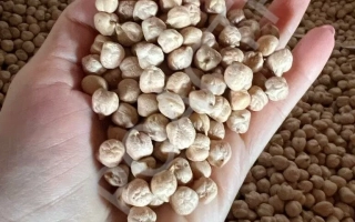 Боковский Белосемянный