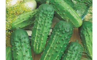 Жайворонок