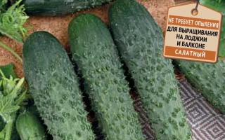 Альтернатива