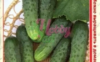 Александра