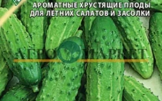 Алтайський Корнішон