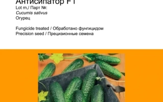 Антисипатор