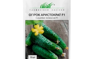 Аристократ