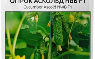 Аскольд НВБ