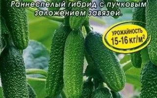 Баба Маша