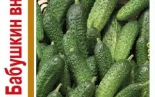 Бабушкин Внучок