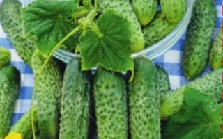 Балконное Чудо