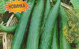 Банзай