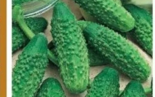 Барабулька