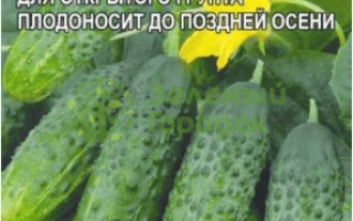 Пакет семян огурца БРАТЕЦ ИВАНУШКА F1