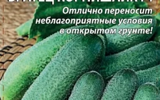 Братец Корнишайк