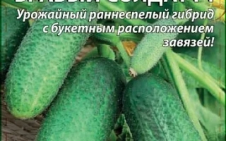 Бравый Солдат