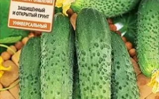 Букет ДЛЯ Мамы