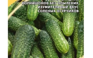 Швидкий Старт