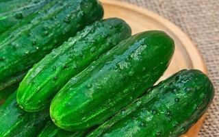 Свежие огурцы на деревянной тарелке - Царский