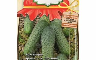 Дачний Посіль