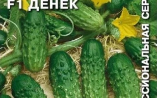 Денек
