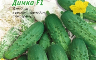 Пакет семян огурца Димка F1 с изображением плодов и надписью 'С любовью из Сибири'