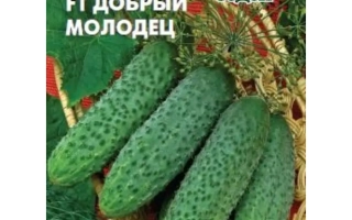 Добрый Молодец