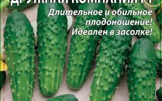 Дружная Компания