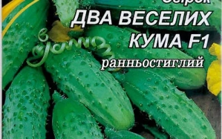 ДВА Веселих Кума