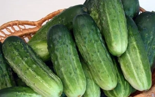 Корзина с огурцами - Единство