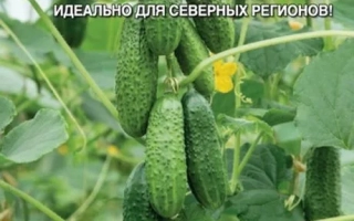 Филипповна