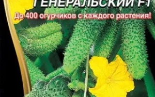 Генеральский