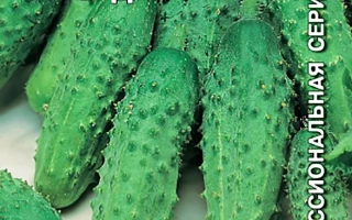 Пакет семян огурца сорта Герда