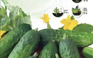 Государев Заказ