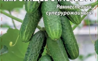 Хрустящее Счастье