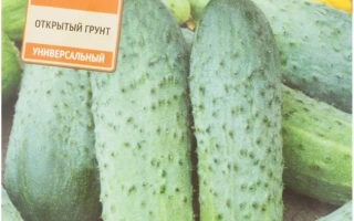 Иван Царевич