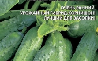 Cucumber seeds Abundant F1 on a background of green cucumbers